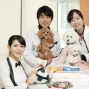 디비에스 주식회사 이미지