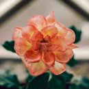 풍경화그리기 이미지