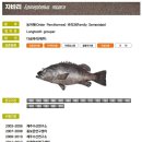 해수수산