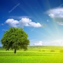 사랑은 아름다워라 이미지