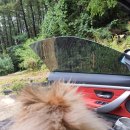 별담스테이 민박 이미지