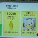 2024 04 23 충주시 유튜버 주무관 특강 이미지