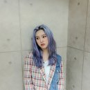 미미홈케어 네이버블로그