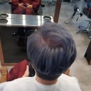 헤어리치맘 네이버블로그