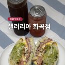 대원식자재마트 | 내돈내산 화곡역 카페 화곡샌드위치 샐러리아 화곡점