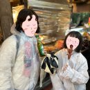 풍하갈비 | 한국가이드가 있는 대만 착한투어 예스폭진지 투어 내돈내산 후기