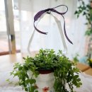 냅킨 아트 화분 만들기 이미지