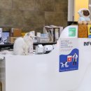 비와이메디칼 이미지