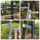 모락산 둘레길 이미지