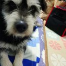 추정2리 이미지