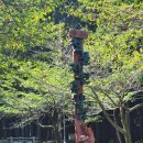 절물 | 제주 휠체어 가능한 베리어프리 여행지 절물자연휴양림 관음사 솔직 후기후기~!