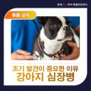 홍제24시모아동물의료센터 이미지