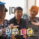 나비고