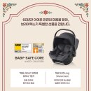 프로대형자동차 | 브라이텍스 듀얼픽스 프로 신생아 카시트 내돈내산 후기 (단종색상 구입 토프, 웜카라멜)