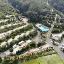 내안의숲 이미지