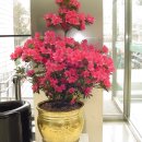 조이플라자 이미지