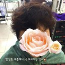 애플헤어샵 이미지