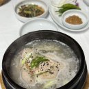 효야네일 | 남해 삼계탕 효야네 삼계탕 리얼후기 추천은 안해요