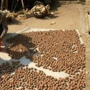 고원빌딩 이미지