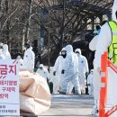 화성양돈 이미지