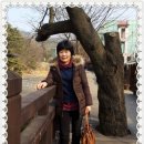 신안촌 이미지