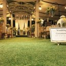 더그레이스켈리 이미지