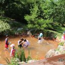 용문산야생화마을 이미지