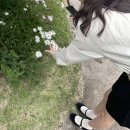 삼전하늘어린이집 | [일상] 가을아 보내줄게 겨울 다오