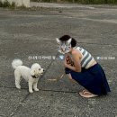 울산화이트태닝 “더블랙탠” 가격 및 찐 후기!