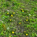 정족1리 이미지