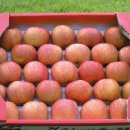 벽천농장 이미지