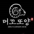 머꼬또양 이미지