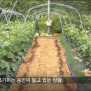 '18만 원' 까지 치솟은 일당...비상 걸린 농촌 상황 이미지