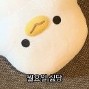 육연집 이미지