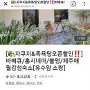 유수암소랑 이미지