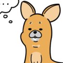 와규앤막창 이미지
