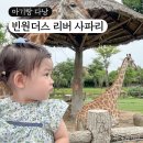 빈원더스 남호이안 리버 사파리 21개월 아기랑 다낭 여행