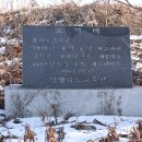 봉의초 이미지