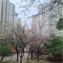 판교현대공인중개사사무소 | 삶의 질을 높이는 백현2단지, 판교역 인근 프리미엄 단지 정보 총정리