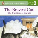 어린이 CAT 이미지