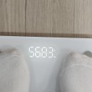 놀부한방족발 | 부산 다이어트 한약 내돈내산 후기(3주차)