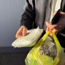 엘지전자(주) 속초서비스센터 | 속초 설악항맛집 추천 설악항 호섭이네11호 : 쫀득한 밀치와 광어회 포장 후기