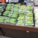 더편한정형외과의원 이미지