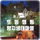 양지-3351 이미지