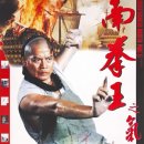 南拳王之气壮山河 1993 이미지