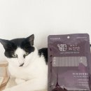 고양이 한방 영양제, 한방 고양이 츄르 묘진단 후기