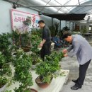 스마일화원 이미지