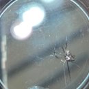 봉동자동차유리 이미지