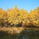 은행1리 이미지