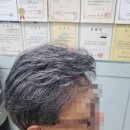 가모미모